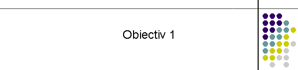 Obiectiv 1