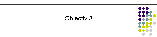 Obiectiv 3